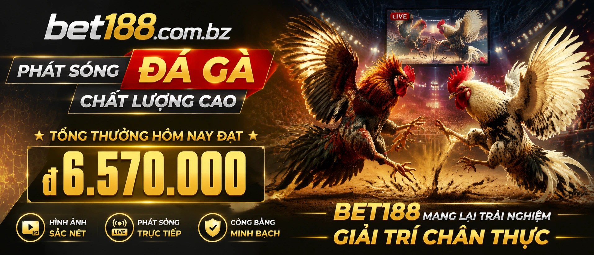 Đá Gà trực tiếp trên nền tảng bet188.com.bz