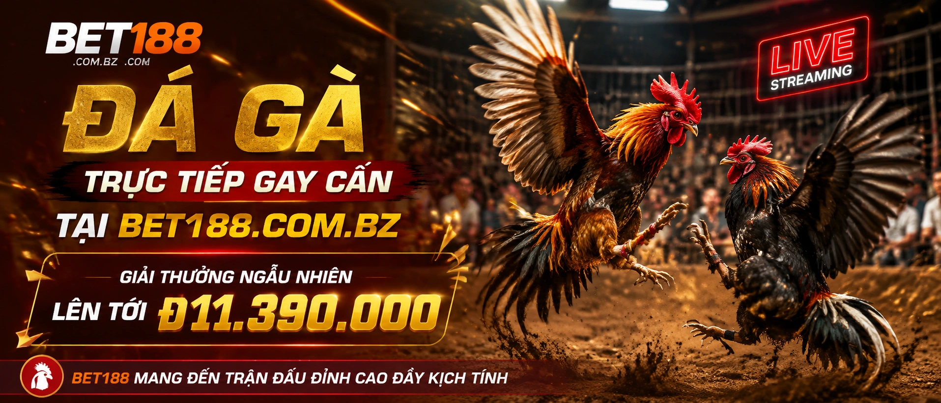 Danh mục Đá Gà Campuchia và nội dung giải trí liên quan